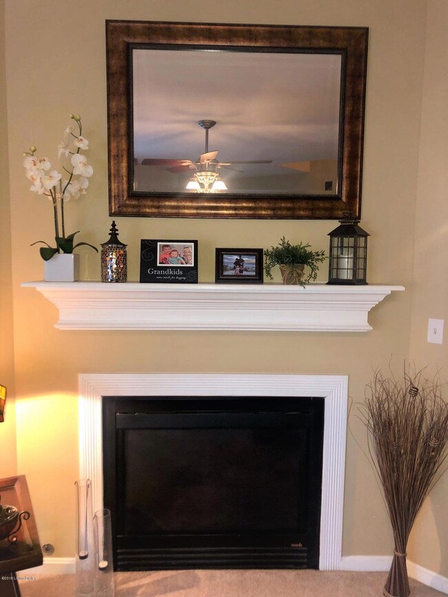 6935 Catalpa Springs Dr, Louisville, KY 40228 - photo 5