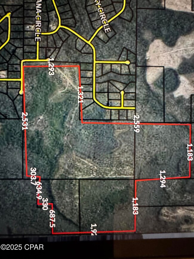 TBD Broadview Ave, Alford, FL 32420 - photo 6