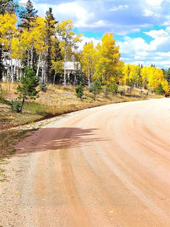 517 Aspen Village Rd, Divide, CO 80814 - photo 6