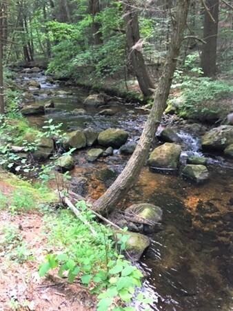 65 Kentfield Rd, Wendell, MA 01379 - photo 5