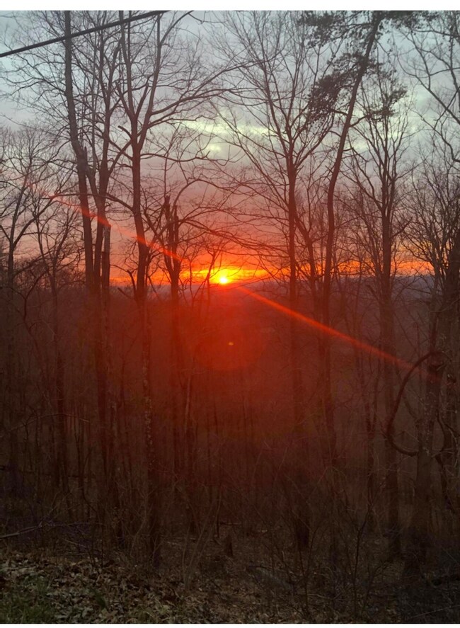 B6E22E4E-20DC-4645-B569-401DB271F906