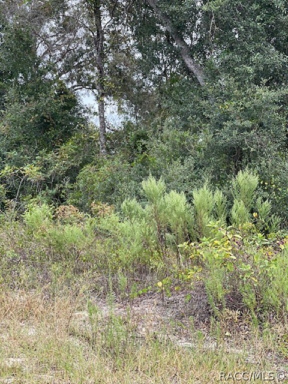 unlisted-address, Dunnellon, FL 34431 - photo 6