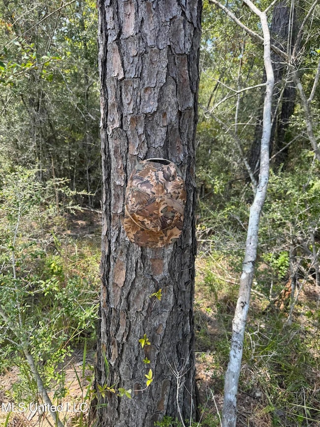 0 Doe Ridge Highland, Lucedale, MS 39452 - photo 2