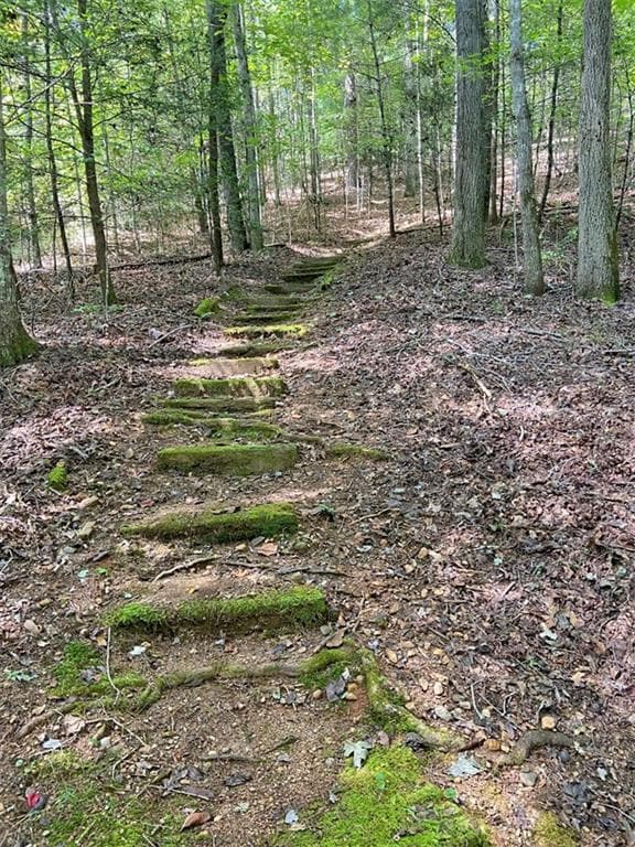 1556 Syrup Mill Rd, Dahlonega, GA 30533 - photo 4