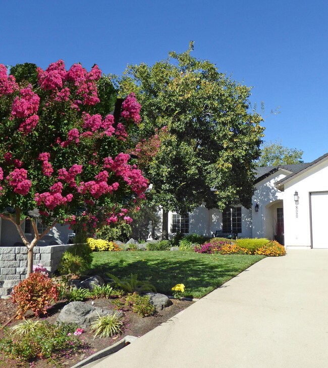 Front Yard in Full Bloom