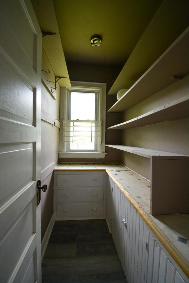 Lower Kitchen Pantry