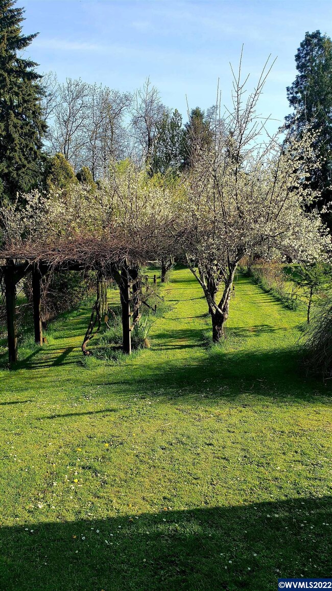 1010 Fairview Ave SE, Salem, OR 97302 - photo 6