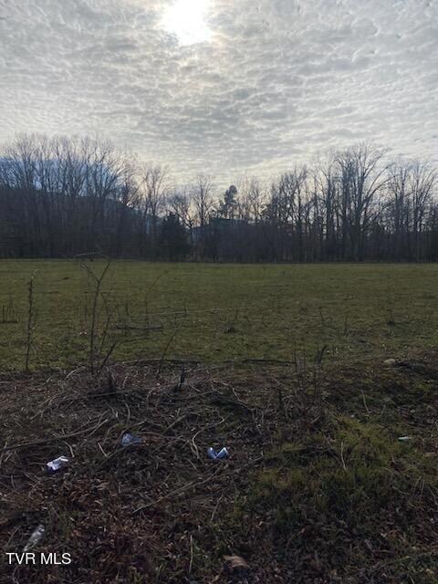 Lot 2 Bishop Loop, Greeneville, TN 37743 - photo 2