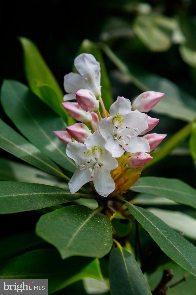 614 Graystones Jeras Rd Lot R-8, Albrightsville, PA 18210 - photo 7