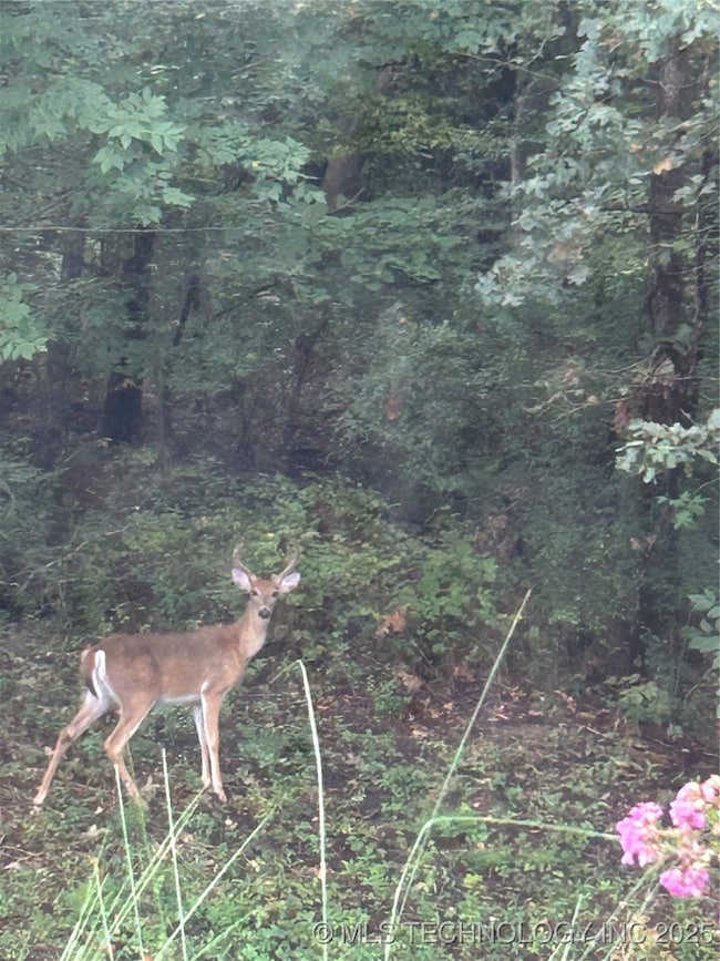 2125 W 73rd St, Tulsa, OK 74132 - photo 4