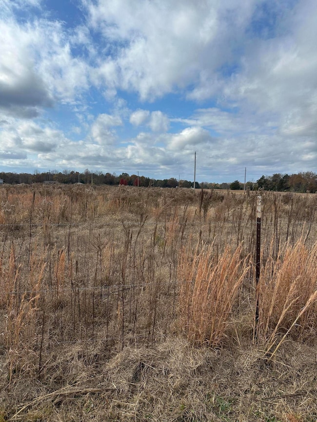 134 Ware Rd, Pontotoc, MS 38863 - photo 4