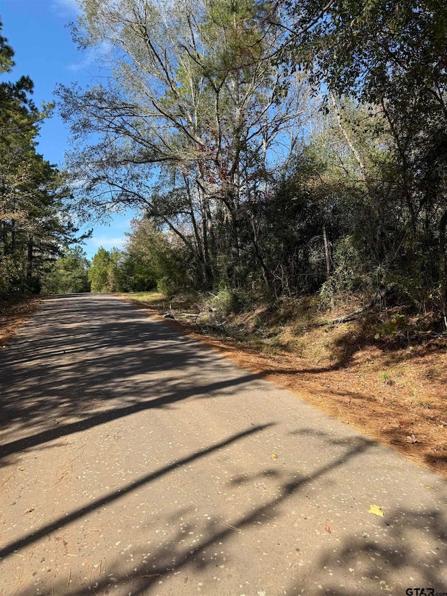 TBA #2 Acr 1204, Elkhart, TX 75839 - photo 3