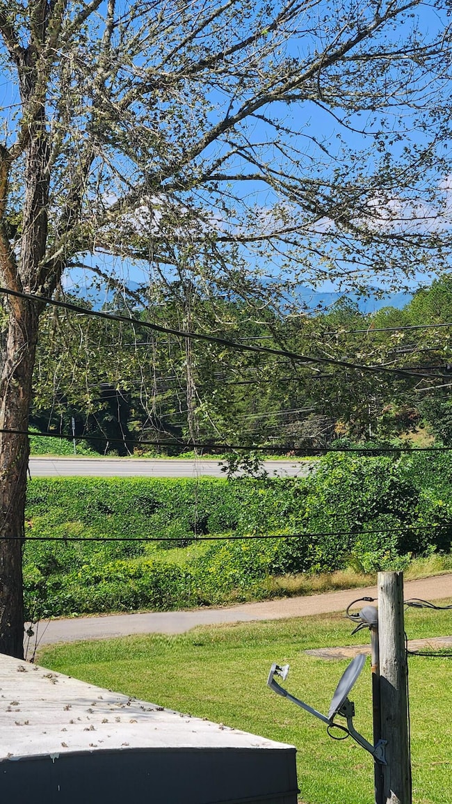 113 Spruce St, Copperhill, TN 37317 - photo 4