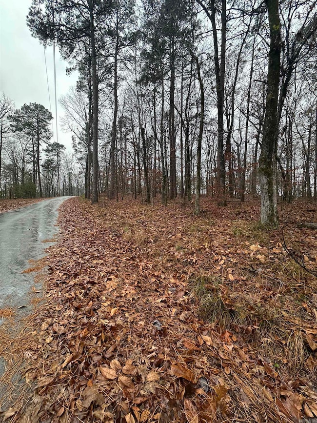 TBD Dogwood, Tull, AR 72015 - photo 5