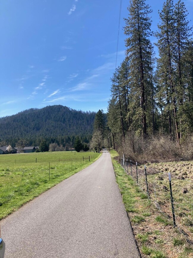 quail lane