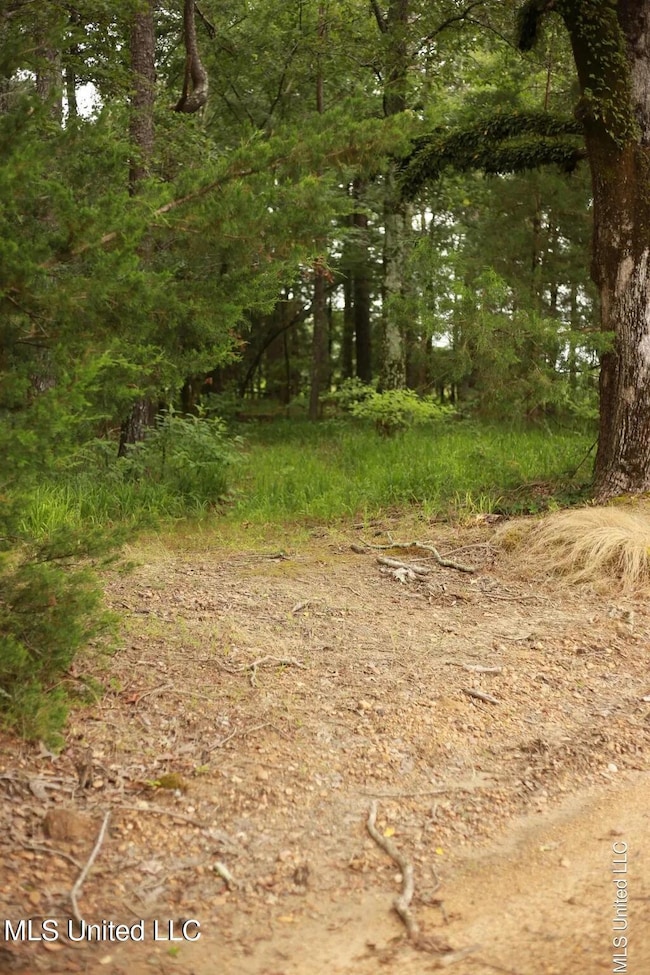 1b9be9605c6b13f4b9787c191b5a6949l-m32442