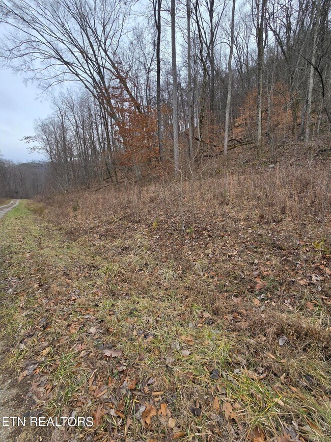 lot 5 Apache Rd, Jamestown, TN 38556 - photo 5