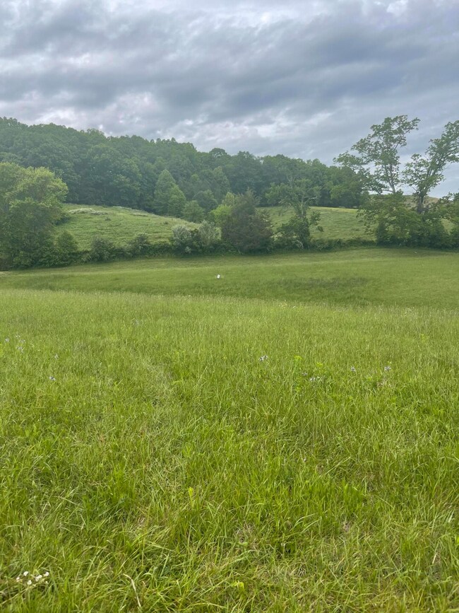 9999 Shiner Hill Phase II Lot #35, Williamsburg, KY 40769 - photo 4