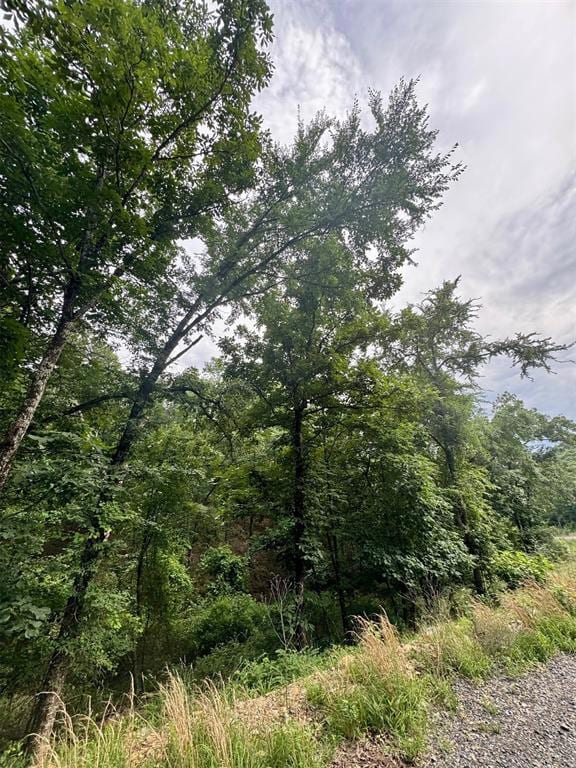 132 Western Cedar Trail, Hochatown, OK 74728 - photo 2