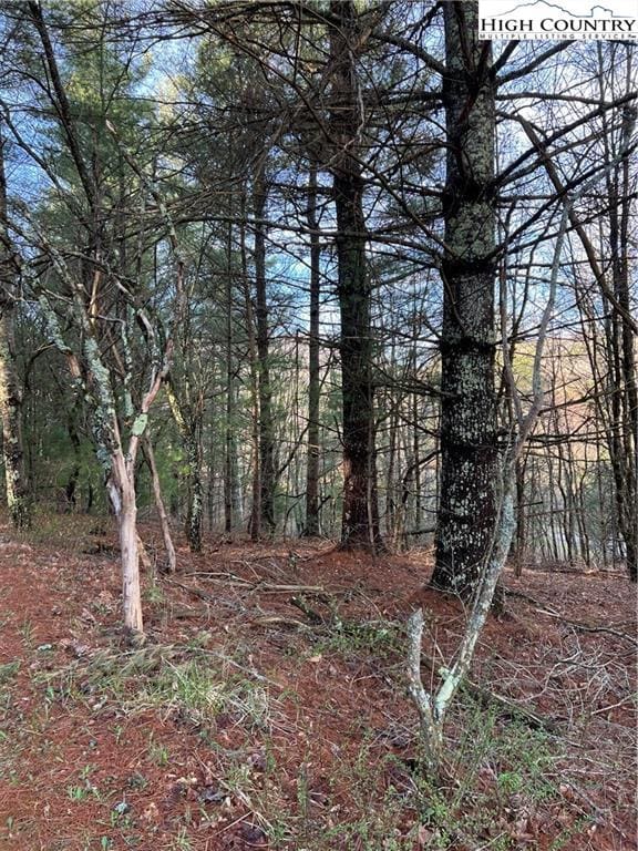 13 Speckled Dr, Laurel Springs, NC 28644 - photo 3