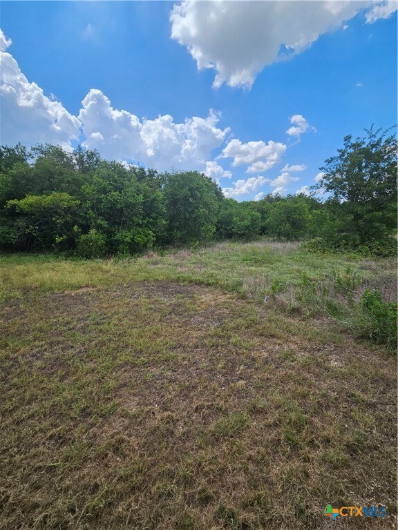 TBD Pendleton Troy Rd, Troy, TX 76579 - photo 5