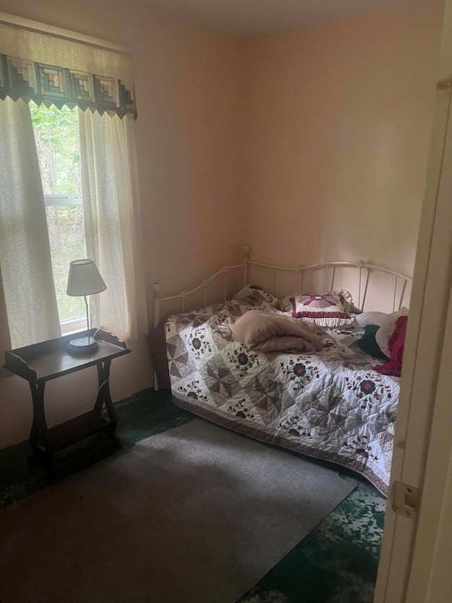 2535 W Wilderness Way, Baldwin, MI 49304 - photo 4