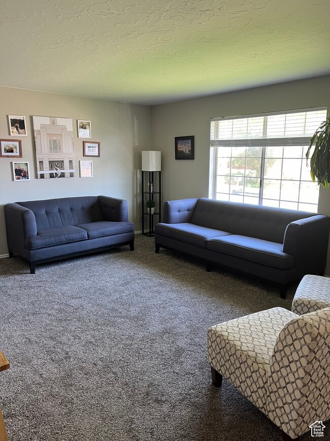 Carpeted living room featuring natural sunlight