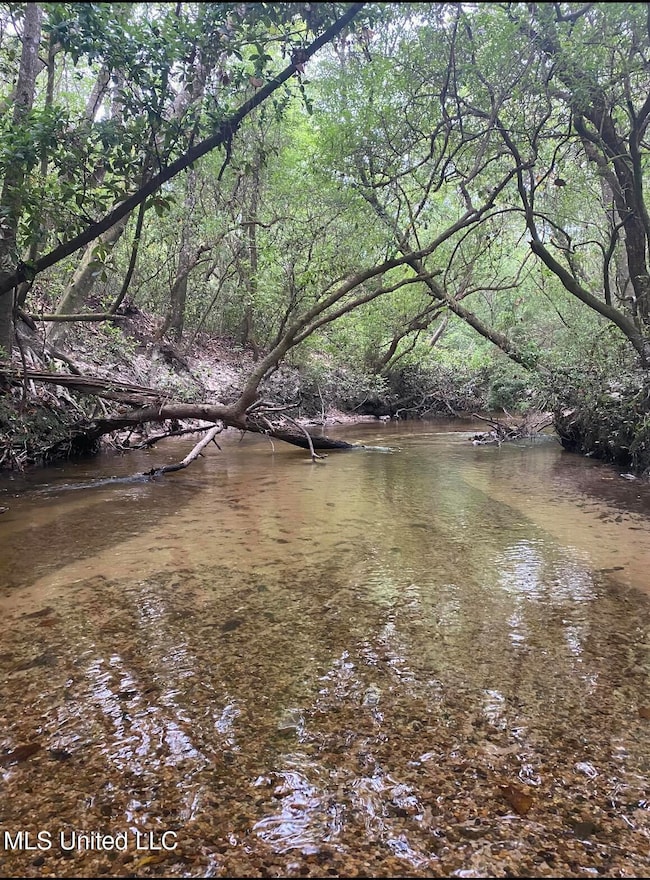0 10 35 Ac Barton Agricola Rd, Lucedale, MS 39452 - photo 3