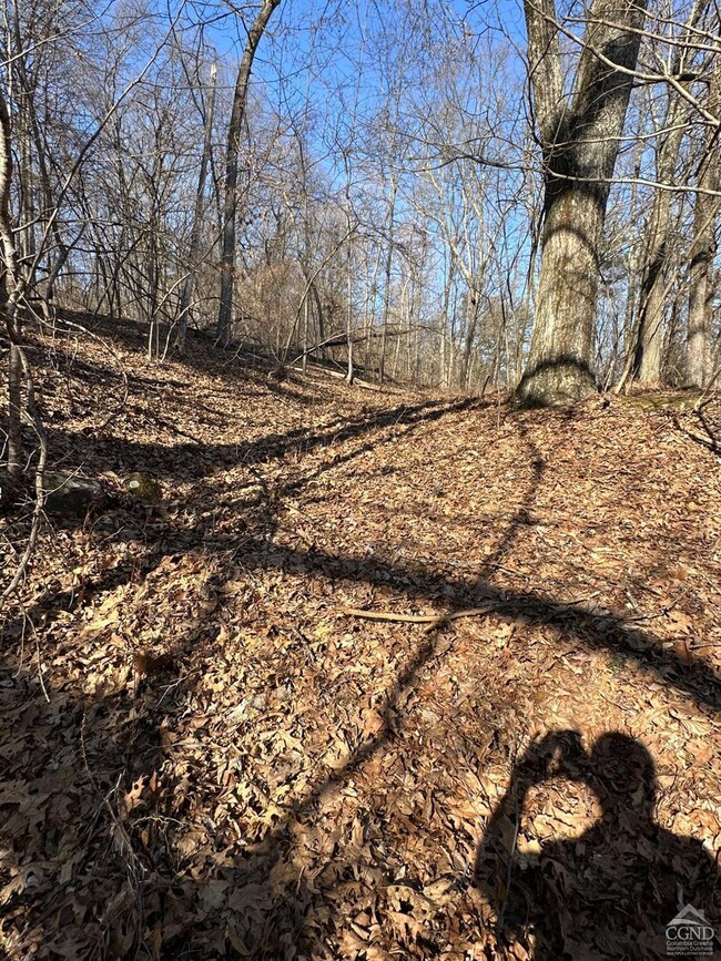 0 Buttermilk Falls Rd unit 156376, Catskill, NY 12414 - photo 3
