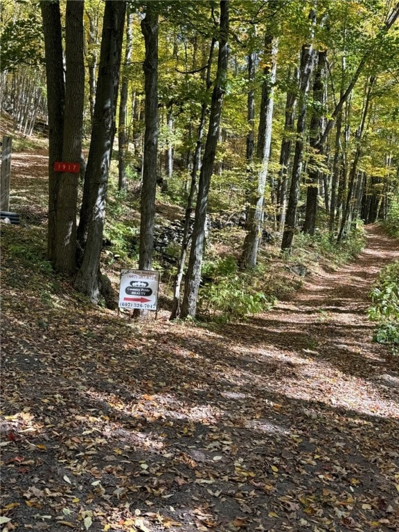 0 Roses Brook Rd unit R1650834, Stamford, NY 12167 - photo 5