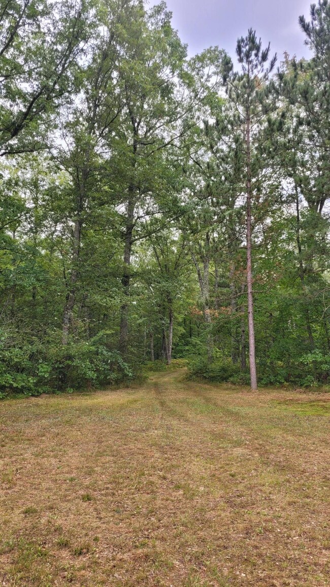 9413 N Northwoods Trail, Brohman, MI 49312 - photo 4