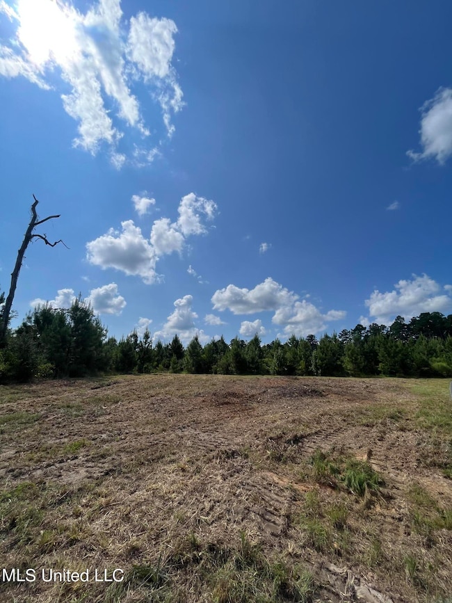 0 Nolan Felder Rd, Magnolia, MS 39652 - photo 3