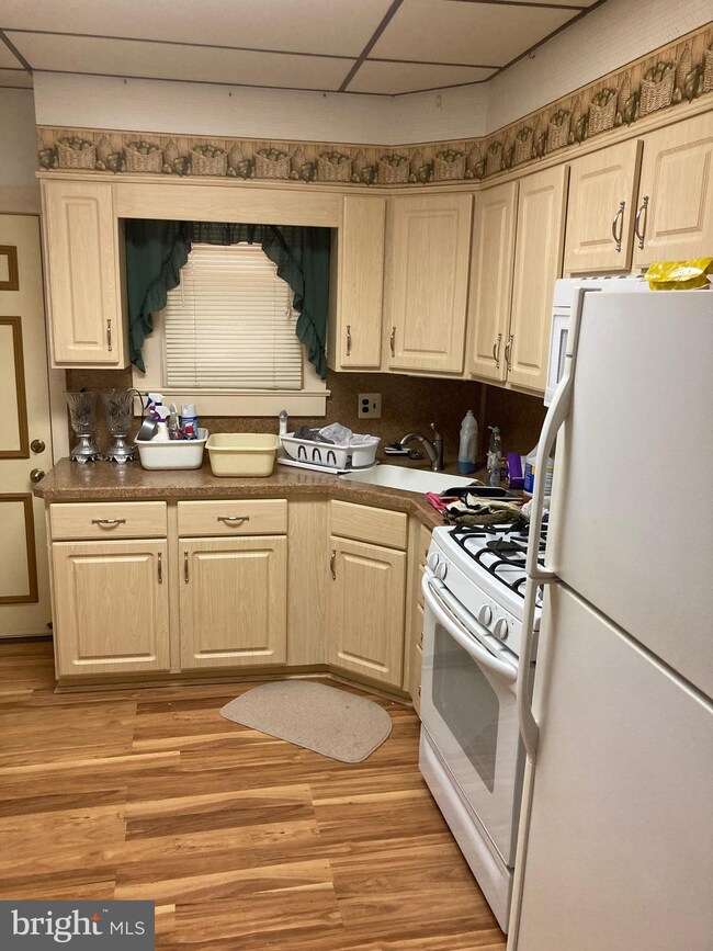 2818 Lefevre St, Philadelphia, PA 19137 - photo 3