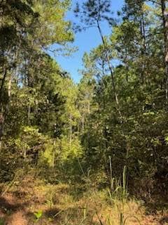 1807 N Sappa Rd, Eupora, MS 39744 - photo 5