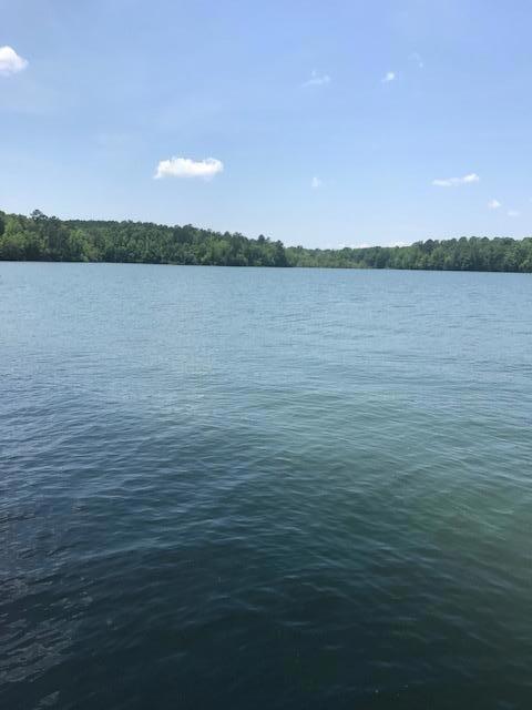 Pine View Circle Water View