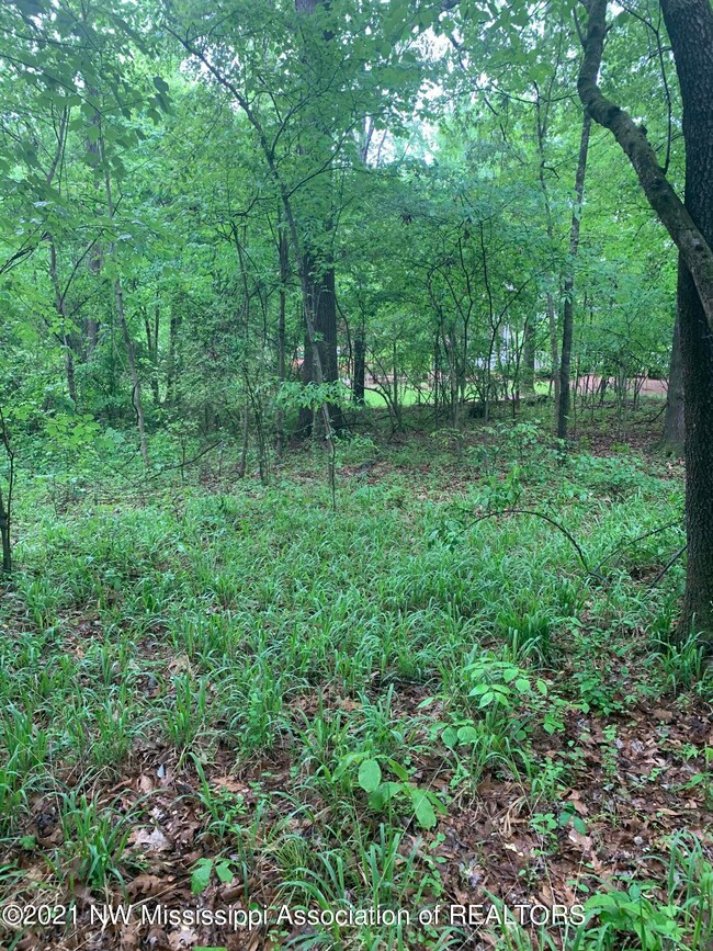 0 S Old Hwy 51 unit 2335199, Hernando, MS 38632 - photo 5