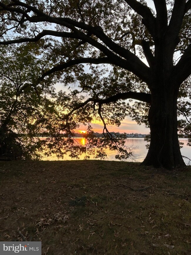 204 Truslow Farm Ln, Chestertown, MD 21620 - photo 7