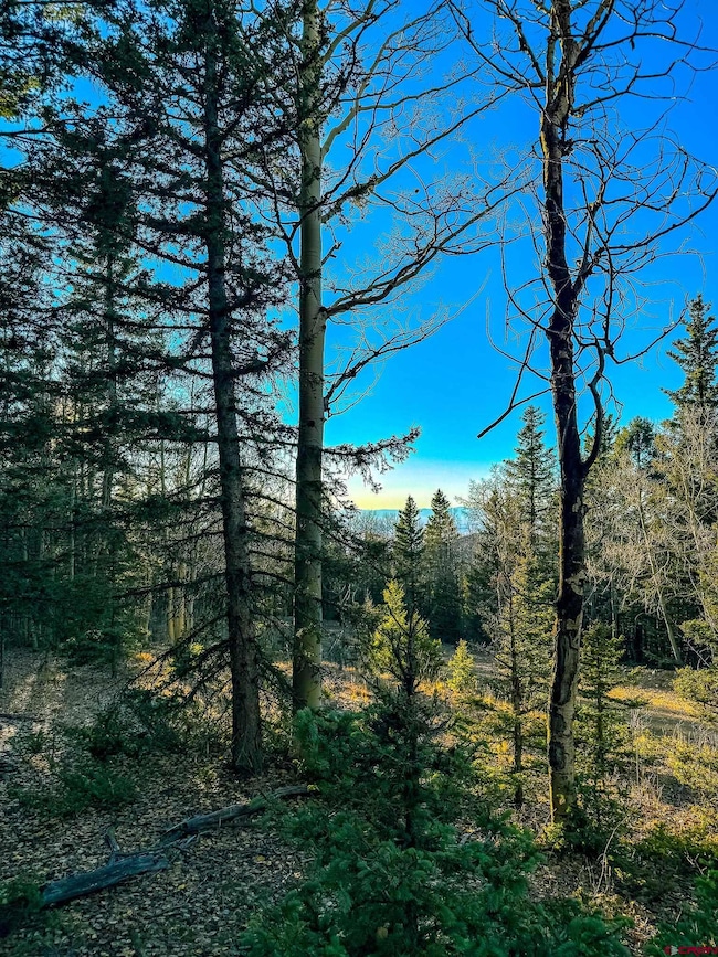 6817 Heckman Rd, San Luis, CO 81152 - photo 2