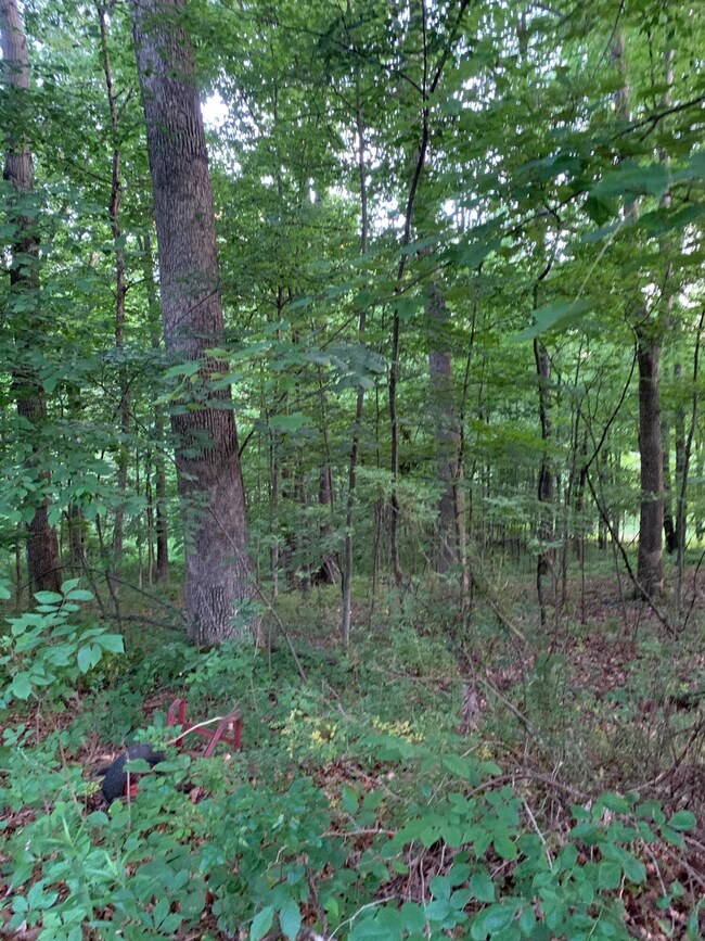 0 Grand Valley Rd unit 221023304, Brown Township, OH 43028 - photo 2