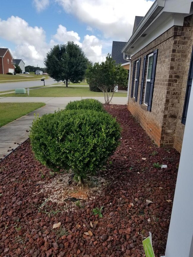 Additional Photo
