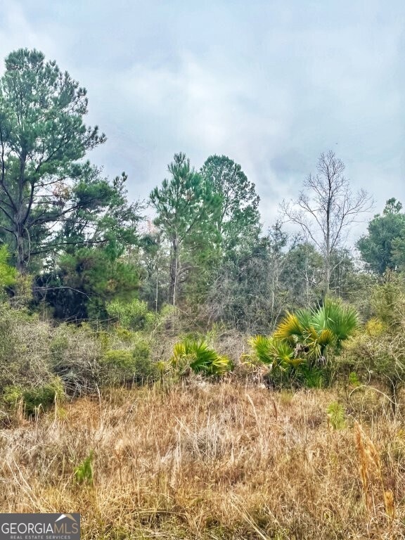 0 US Highway 98 unit 10649270, Perry, FL - photo 4