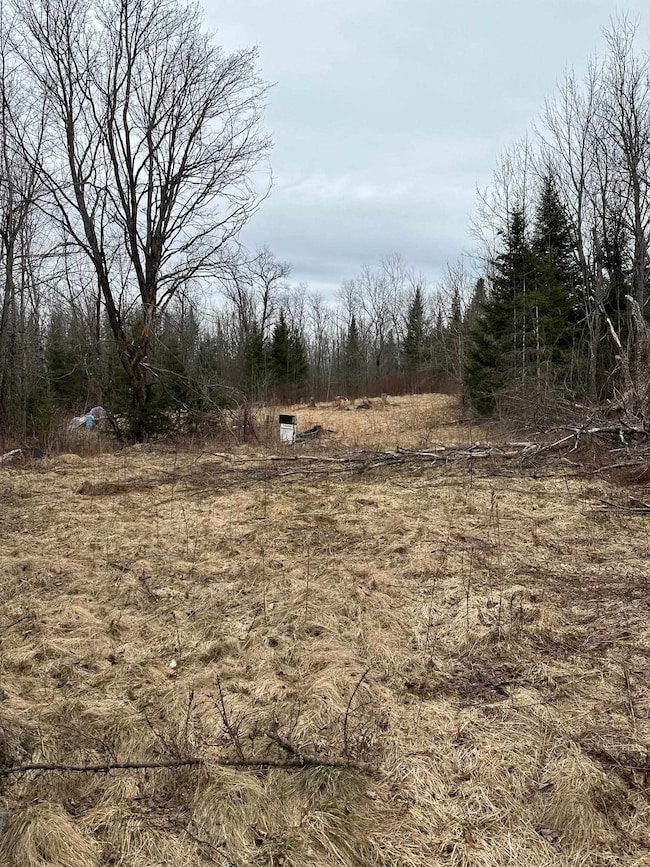 1602 Morin Rd, Guildhall, VT 05905 - photo 3