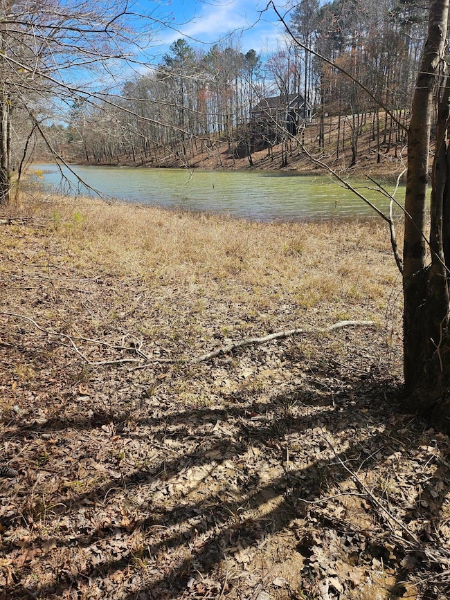 LOT 61 Shoreside at Sipsey, Houston, AL 35572 - photo 2