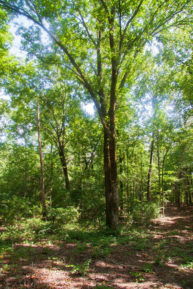 Springhill D-02