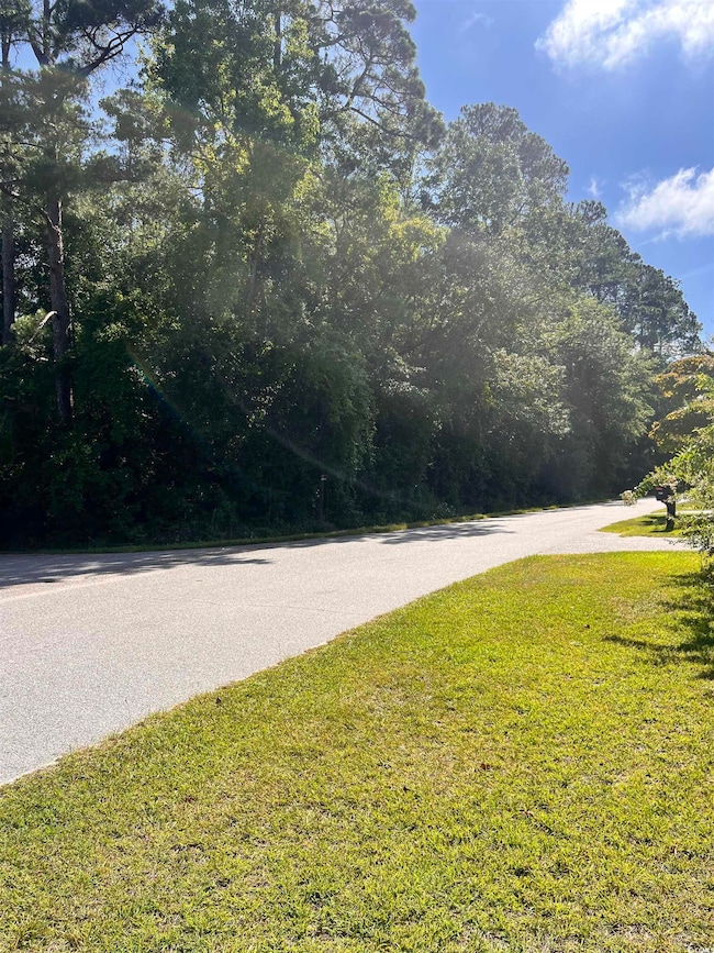 0 Edgewood Blvd unit Corner Edgewood Boul, Dillon, SC 29536 - photo 3