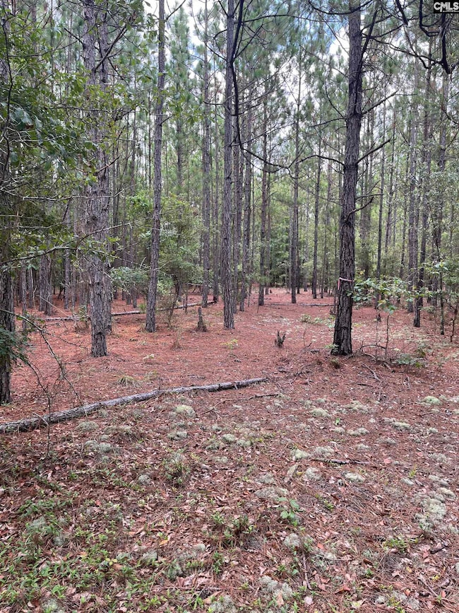 BHL 5 Boise Cascade Rd unit BHL 5, Bethune, SC 29009 - photo 2