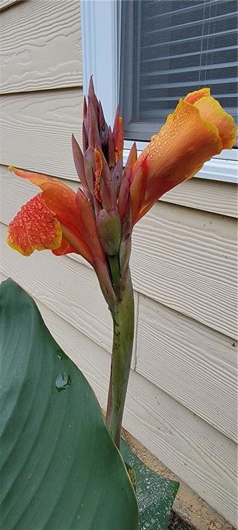 505 Canton Ct, Canton, GA 30115 - photo 4