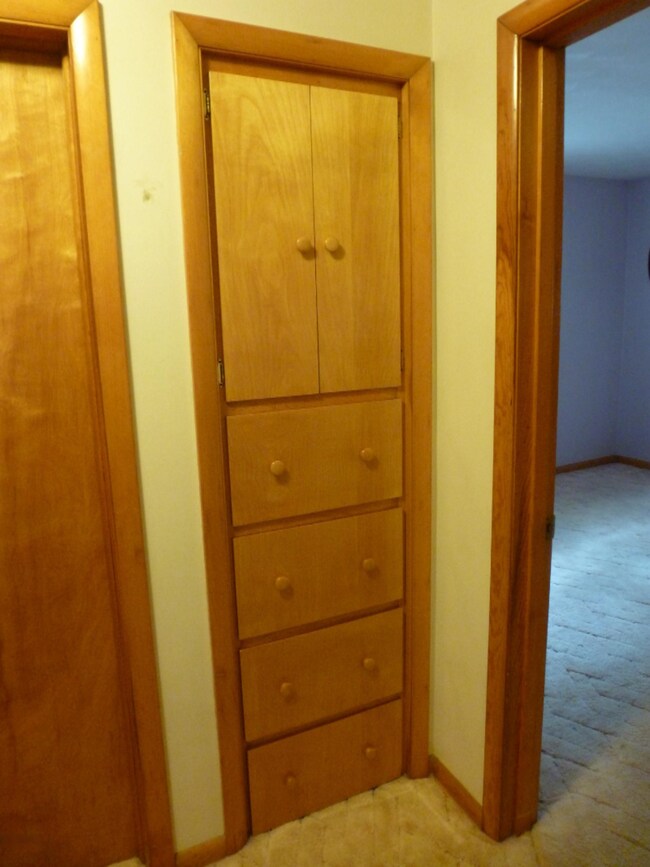 Built-Ins Outside of the Bathroom