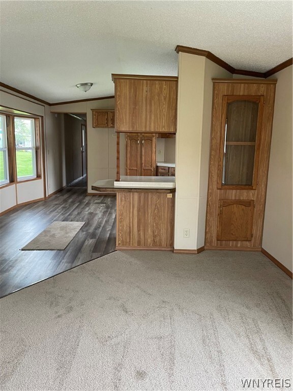 Living Room to Kitchen