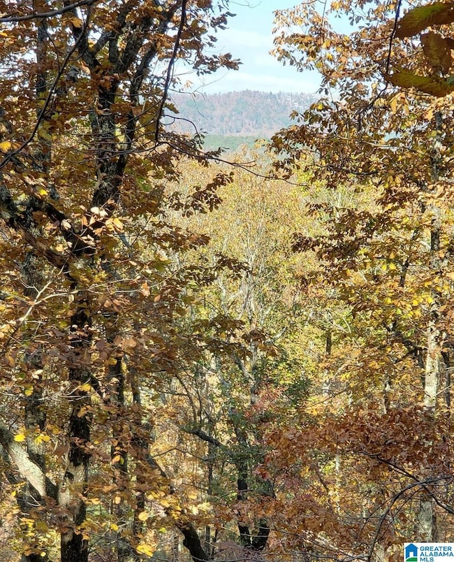 438 Stonegate Dr, Birmingham, AL 35242 - photo 2